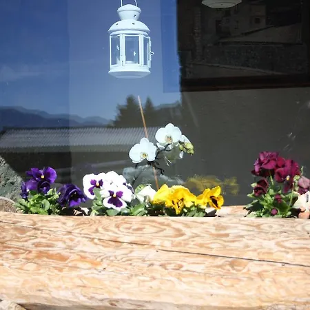 Country house Cal Sandic
